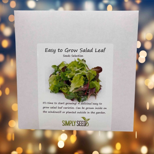 Easy to Grow Salad Leaf Seed Selection Packet